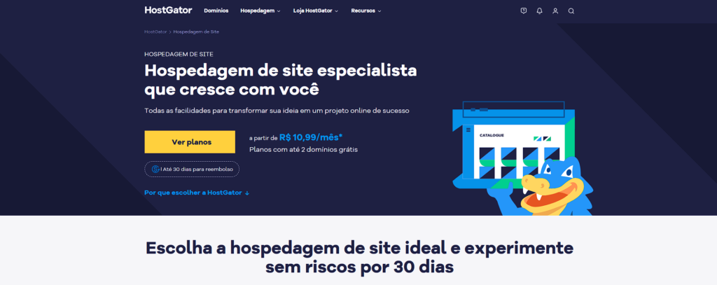 O que é uma hospedagem de sites HostGator
